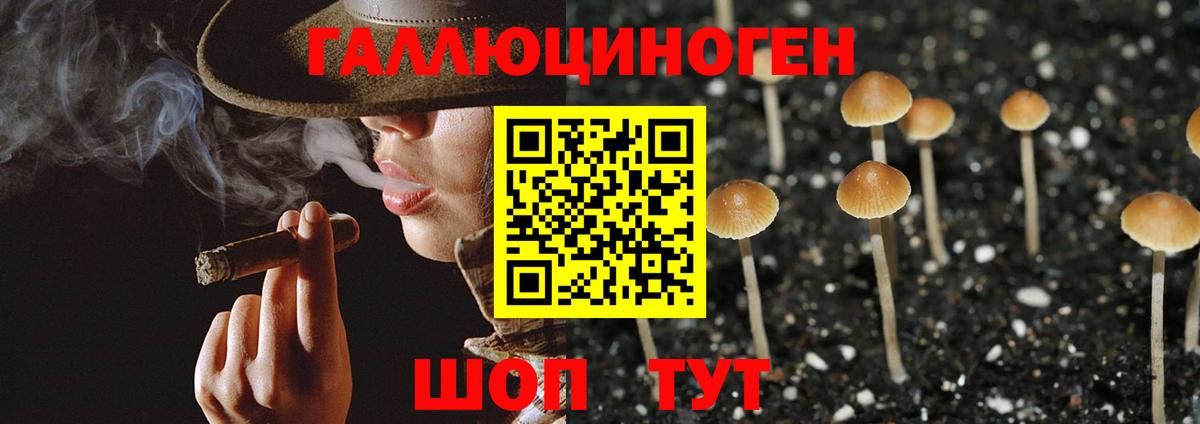 Псилоцибиновые грибы Cubensis  Псилоцибиновые грибы Psilocybine cubensis  Сибай  Вход с VPN 