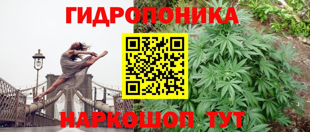 Каннабис марихуана Сибай